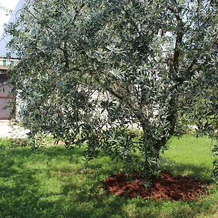 Laura's Facing The Garden Апартаменты