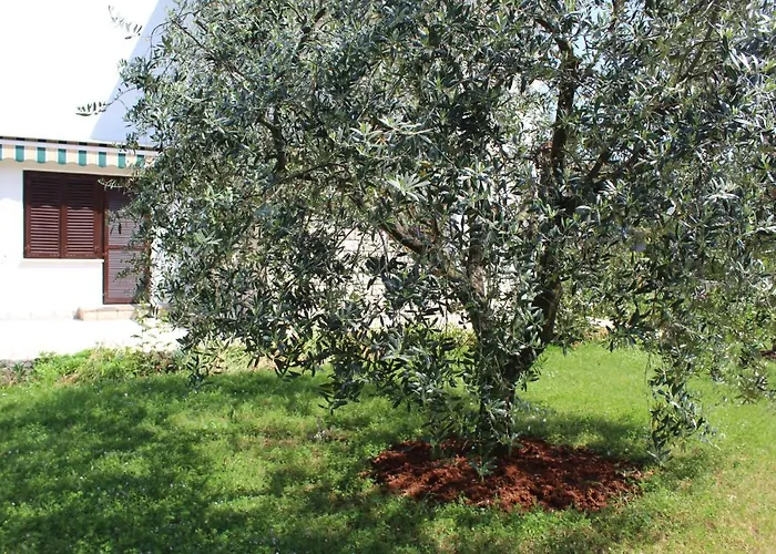 Laura's Facing The Garden Appartamento